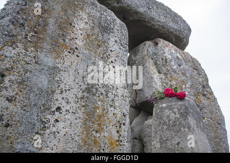 Blume, bietet auf einer riesigen Steine von Stonehenge, Sommersonnenwende Sonnenaufgang Juni, Wiltshire, England, Stockfoto