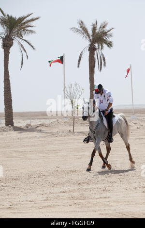 Erschöpften Fahrer prüft seine Zeit am Ende einer Etappe der Langstreckenrennen am CHI Al Shaqab 2014 Stockfoto