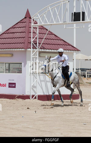 Fahrer zu Beginn einer Etappe der Langstreckenrennen am CHI Al Shaqab 2014 Stockfoto