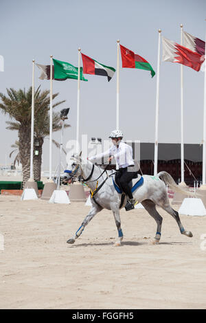 Fahrer zu Beginn einer Etappe der Langstreckenrennen am CHI Al Shaqab 2014 Stockfoto