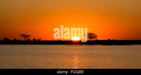 Klassischen afrikanischen Sonnenuntergang mit riesigen brennenden Sonne über Akazien und Wasser in Botswana, Afrika Stockfoto