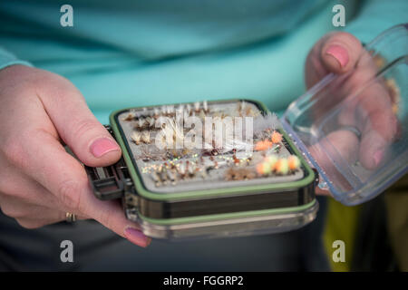 Frau wählt fliegen von einer Fliege Box während des Fischens in Montana. Stockfoto