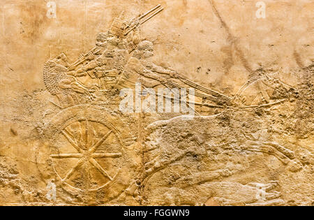 König Ashurbanipal in Wagen, Löwen jagen Reliefs c.645-635 BC vom Palast in Ninive, assyrischen Gallery, British Museum, London Stockfoto