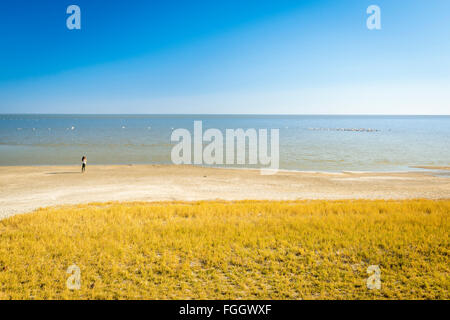 Frau steht am Rande See Blick auf die Makgadikgadi Pan in Botswana, Afrika auf safari Stockfoto