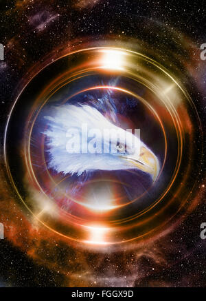 Adler in den kosmischen Raum und Lichtkreis. Original Malerei Collage.  Tier-Konzept, Profilbildnis. Sepia und Licht Golden col Stockfoto