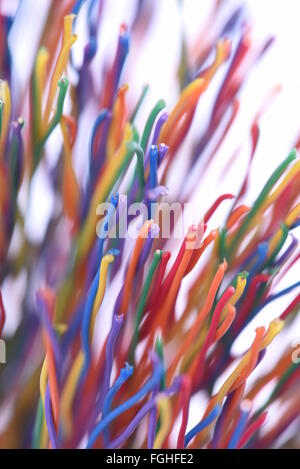 Reihe von bunten Kupferkabel unscharfe abstrakte Technologie Stockfoto