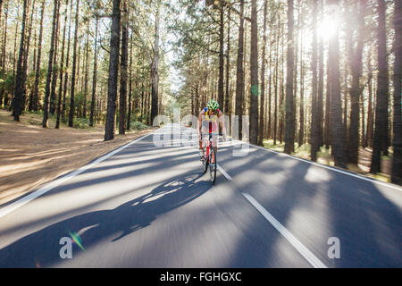 Ein Radfahrer fährt Rad auf einer Straße durch einen tiefen Pinienwald Stockfoto