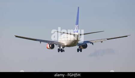 SAS Scandinavian Airlines Boeing 737 LN-RRR ins Land kommen am Flughafen London Heathrow LHR Stockfoto