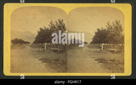 Colorado Springs, von Nims, F. A. (Franklin A.) Stockfoto