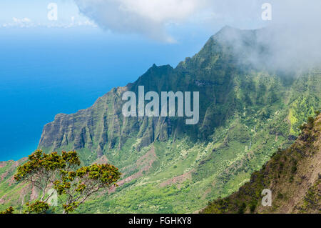 Blick auf das Kalalau Valley und die Na Pali Küste von Pu'u O Kila Lookout an der Spitze der Pihea Trail, Kauai, Hawaii. Stockfoto