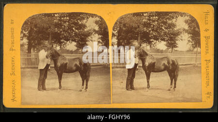 Wenig Phil (zeigt einen Mann mit kleinen Pferd), aus Robert N. Dennis Sammlung von stereoskopischen Ansichten Stockfoto