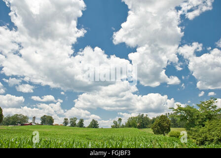 Sommerhimmel Stockfoto