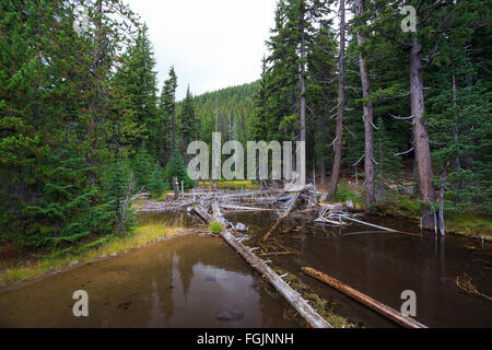 Devils Lake ist ein sehr beliebtes Wander- und Rucksackreisen Ziel für Central Oregon Wanderer die Wildnis erkunden wollen. Stockfoto