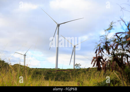 Grüner Energie ist bei dieser massiven Windpark wo Turbinen die Hügel in Oahu Hawaii Linie gelagert. Nachhaltige, erneuerbare Energien Stockfoto