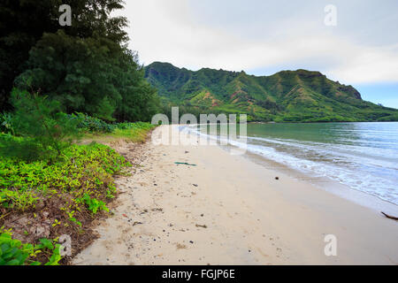 Kahana Bucht gesehen vom Strand Blick Norden mit niemand dort auf einem sehr langsamen Tag für den Tourismus in Oahu Hawaii. Stockfoto