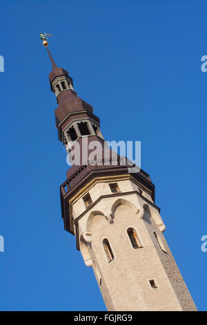 Mittelalterliche Raekoda (Rathaus), Tallinn, Estland Stockfoto