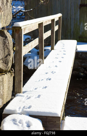 Kleinen Tierspuren im Schnee auf einem hölzernen schmalen Brücke über fließendes Wasser. Stockfoto