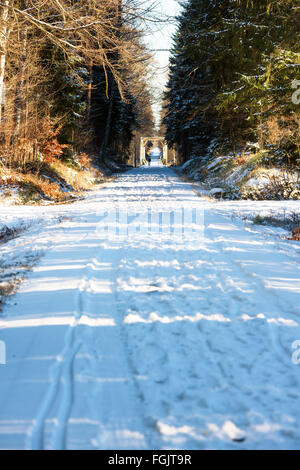 Ryd, Schweden - 16. Februar 2016: Eine alte Eisenbahnbrücke nun als einen Spaziergang und Zyklus Weg durch den Wald verwendet. Es ist Winter ein Stockfoto