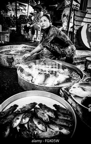 Eine Frau verkauft frischen Fisch auf dem Land-Markt in Cai Be Stadt im Mekong-Delta, Südvietnam. Stockfoto