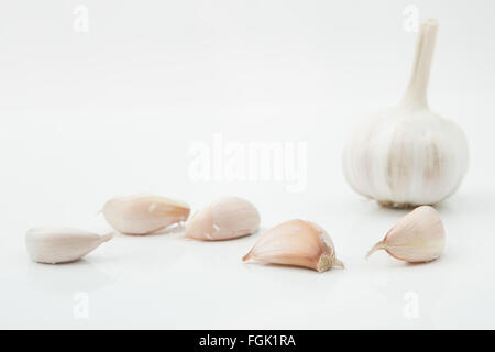 viele Knoblauchzehen auf weißem Hintergrund Stockfoto