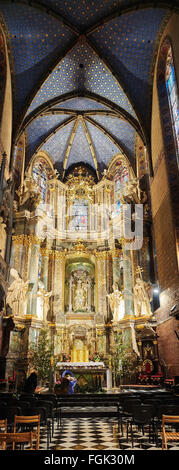 LVIV, UKRAINE - 16. Januar 2016: Indoor Innenraum Lateinische Kathedrale. Vertikale Panoramablick.  Lviv, Ukraine. Stockfoto