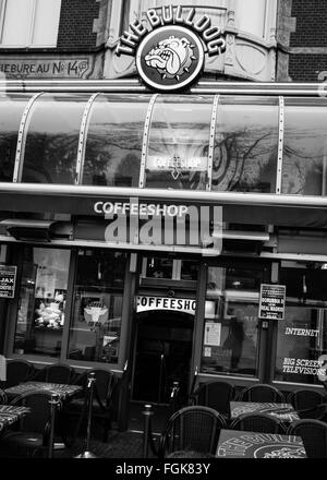 Die Bulldog-Coffee-Shop im Zentrum von Amsterdam Stockfoto