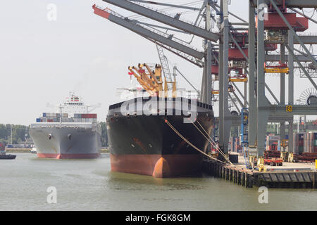 Containerschiffe in ein Container-terminal im Hafen von Rotterdam festgemacht. Der Hafen ist die Europ larges Stockfoto