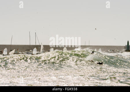 Fuengirola, Malaga, Andalusien, Spanien. 20. Februar 2016. Segelboote von Segelschule und Surfer in der Nähe von Port. Code Orange ist für Seegang und Wind gegeben. Bildnachweis: Perry van Munster / Alamy Live News Stockfoto