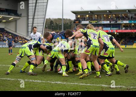 Sixways Stadium, Worcester, UK. 20. Februar 2016. Aviva Premiership. Worcester Warriors versus Verkauf Haie in ein Keanly bestritten lose Maul Credit: Action Plus Sport/Alamy Live News Stockfoto