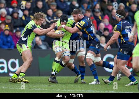 Sixways Stadium, Worcester, UK. 20. Februar 2016. Aviva Premiership. Worcester Warriors versus Verkauf Haie. Sale Sharks Nummer 8 Josh Beaumont mit dem Ball. Bildnachweis: Aktion Plus Sport/Alamy Live-Nachrichten Stockfoto