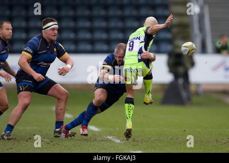 Sixways Stadium, Worcester, UK. 20. Februar 2016. Aviva Premiership. Worcester Warriors versus Verkauf Haie. Sale Sharks Scrum-Hälfte Peter Stringer in Angriff genommen wird. Bildnachweis: Aktion Plus Sport/Alamy Live-Nachrichten Stockfoto