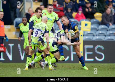 Sixways Stadium, Worcester, UK. 20. Februar 2016. Aviva Premiership. Worcester Warriors versus Verkauf Haie. Worcester Warriors Scrum-Hälfte Francois Hougaard in Angriff genommen wird. Bildnachweis: Aktion Plus Sport/Alamy Live-Nachrichten Stockfoto