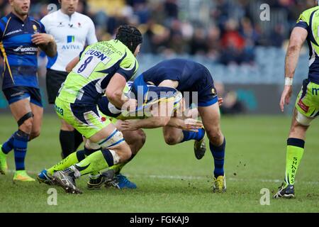 Sixways Stadium, Worcester, UK. 20. Februar 2016. Aviva Premiership. Worcester Warriors versus Verkauf Haie. Sale Sharks Nummer 8 Josh Beaumont Rips Hemd ein Worcester-Spieler. Bildnachweis: Aktion Plus Sport/Alamy Live-Nachrichten Stockfoto