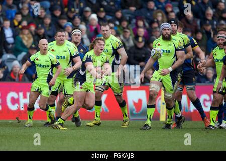 Sixways Stadium, Worcester, UK. 20. Februar 2016. Aviva Premiership. Worcester Warriors versus Verkauf Haie. Sale Sharks Hooker Tommy Taylor geht der Ball. Bildnachweis: Aktion Plus Sport/Alamy Live-Nachrichten Stockfoto