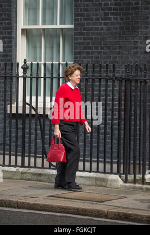 Downing Street, London, UK. 20. Februar 2016. Baroness Anelay St Johns kommt an Nr. 10. Minister des Kabinetts kommen für einen Samstag Kabinettssitzung am Nr. 10 auf EU-Verhandlungen informiert werden. Bildnachweis: Malcolm Park Leitartikel/Alamy Live-Nachrichten Stockfoto