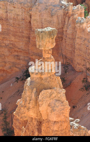 Thors Hammer im Bryce-Canyon-Nationalpark, Utah Stockfoto