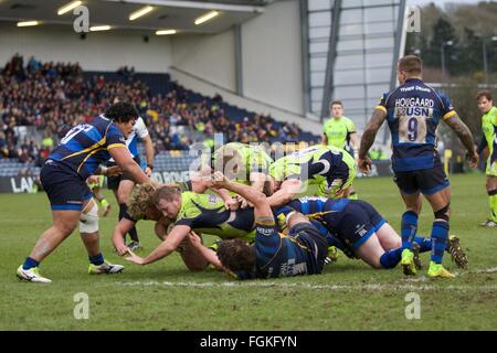 Sixways Stadium, Worcester, UK. 20. Februar 2016. Aviva Premiership. Worcester Warriors versus Verkauf Haie. Sale Sharks Hooker Tommy Taylor mit dem Ball. Bildnachweis: Aktion Plus Sport/Alamy Live-Nachrichten Stockfoto