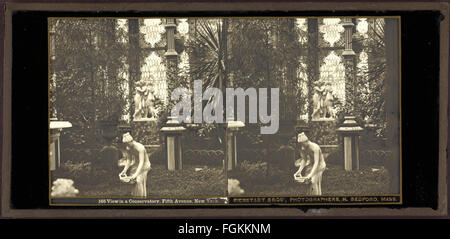 Ein historisches Foto der Bierstadt Brothers, das die Aussicht in einem Wintergarten an der Fifth Avenue, New York, einfängt. Das Bild reflektiert einen Moment aus dem späten 19. Jahrhundert und bietet einen Einblick in die Architektur und den Lebensstil dieser Zeit. Der mit Pflanzen und Grün gefüllte Wintergarten zeigt die Wertschätzung der Epoche für Natur und Eleganz. Stockfoto