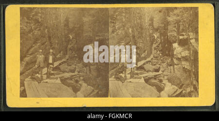 Dieses historische Foto, das 1874 von H. S. Fifield aufgenommen wurde, zeigt die Besucher des Flume, einer berühmten Naturformation in New Hampshire. Das Bild bietet einen Einblick in die Vergangenheit und erfasst die natürliche Schönheit der Gegend und das Interesse, das sie bei frühen Touristen geweckt hat. Stockfoto