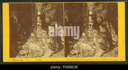 Diese historische Fotografie, aufgenommen von H. S. Fifield am 1. September 1869, zeigt Besucher der Flume, einem Wassertransportsystem, das im 19. Jahrhundert für die Holzfällung genutzt wurde. Das Bild erfasst die technologischen Fortschritte der Zeit und zeigt sowohl die technischen als auch die sozialen Aspekte der Epoche. Stockfoto