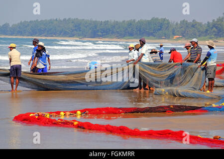 Fischer schleppen Netze an einem Strand in Maharashtra, Süd-Indien Stockfoto