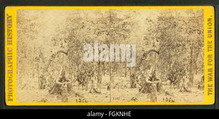 „Woods on the Left Wing“ von Mathew B. Brady fängt die Nachwirkungen der Schlacht von Gettysburg ein und zeigt die bewaldete Gegend, in der bedeutende Kampfhandlungen stattfanden. Bradys Fotografie ist ein historisches Schlüsselbild aus der Zeit des Bürgerkriegs. Stockfoto