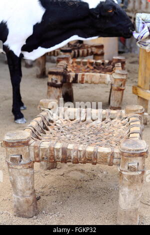 Holz und Leder Sitze mit schwarzen und weißen Schafe auf einer Straße in der Afrera Stadt neben dem SW.edge See Afrera-Danakil gelegt. Stockfoto