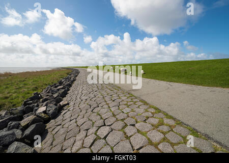 Die so genannte Wattenmeer Deich auf der Insel Terschelling in der Nordsee Stockfoto