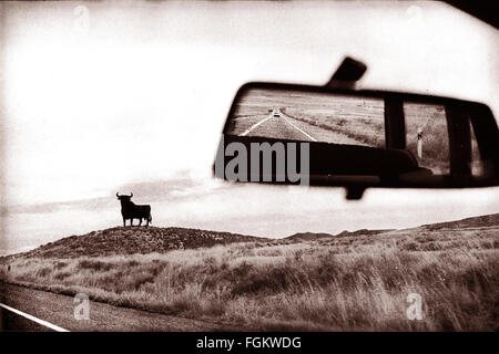 Osborne-Stier (El Toro de Osborne auf Spanisch) unterwegs, die Monegros, Aragon, Spanien durchquert. Stockfoto