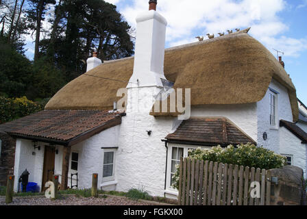 Neu Reetdach auf einem alten Landhaus auf dem englischen Land Stockfoto