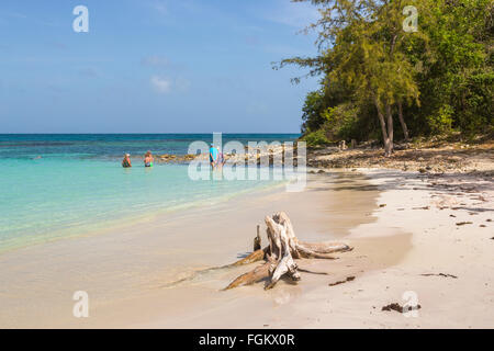 Long Bay, einem Strand auf der Ostseite der Westindischen Inseln Antigua, Antigua und Barbuda, Stockfoto