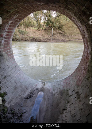 Ein überfluteten Fluss Maulwurf in Surrey im winter Stockfoto