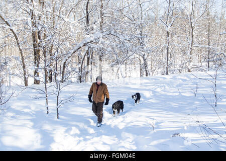 Ein Mann und seine beiden Hunde zu Fuß durch die bewaldeten Winterlandschaft tief verschneit Stockfoto