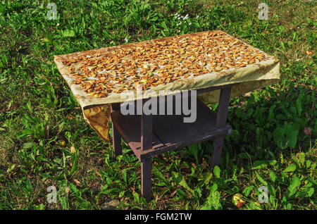 Getrocknete Äpfel Scheiben, Gruppe von trockenen Apfelscheiben auf Tisch. Stockfoto